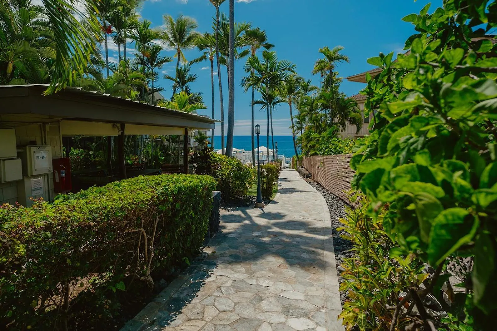 The Alani At Kona Shores Kailua-Kona